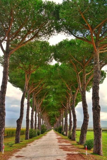 Appartamento Montenero Vista Mare ليفورنو المظهر الخارجي الصورة