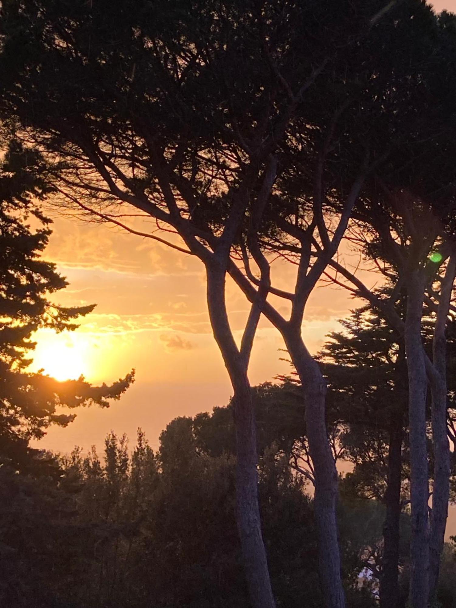 Appartamento Montenero Vista Mare ليفورنو المظهر الخارجي الصورة